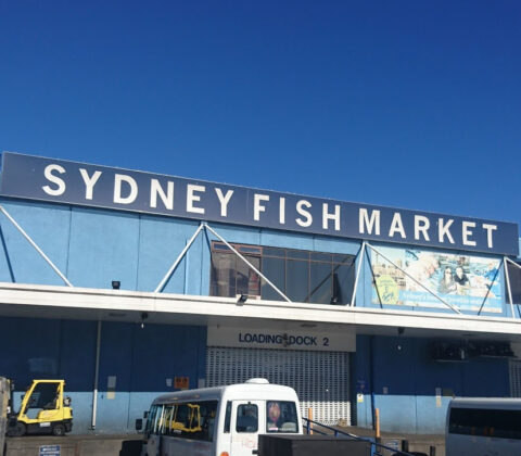 Sydney Fish Market is not just about purchasing seafood