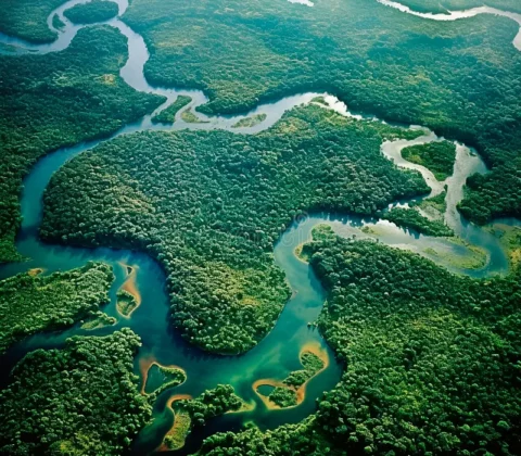 The Amazon River basin is home to a myriad of ecosystems